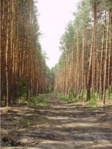 Нет заданного изображения 