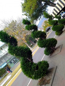 IMG_20201218_120012