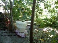 Нет заданного изображения 