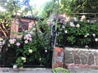 Нет заданного изображения 