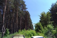 Нет заданного изображения 
