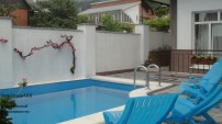 dsc019199