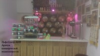 imag0737