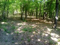 img-20180426-wa0046