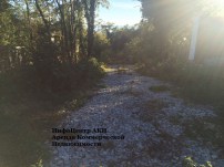 img-20181112-wa0019