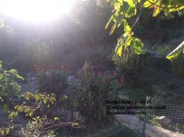 img-20181112-wa0023
