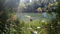 img_20170909_102852