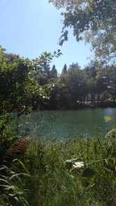 img_20170909_102902