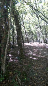 img_20170909_112050