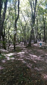 img_20170909_112140