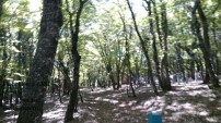 img_20170909_112159