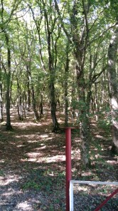img_20170909_113425