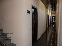 img_29652