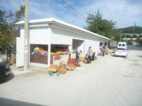 ovoshchi