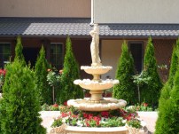 p10008696