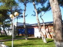 p1030423