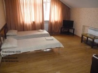 p10501346