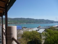 p10507083