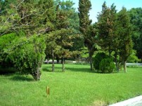 park2