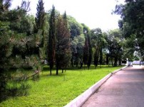 park4