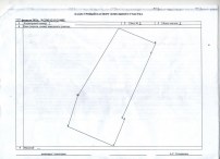 plan24