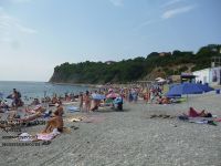 Бетта